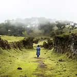 Achada House - Traditional House Appartement Calheta (Madeira)