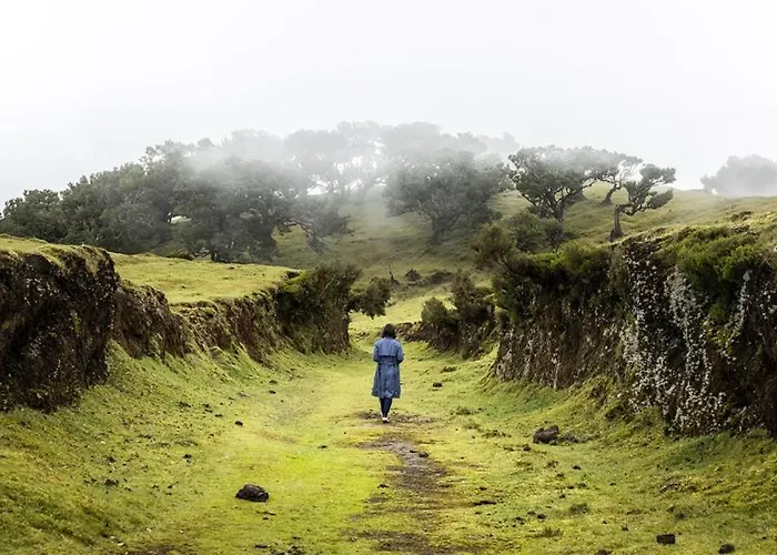 Achada House - Traditional House Apartmán Calheta (Madeira)