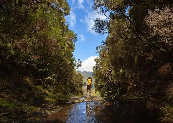 Achada House - Traditional House * Calheta (Madeira)